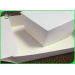 Wood Pulp Disposable Paper Roll , Custom Food Pack PE Coated Paper Roll for sale