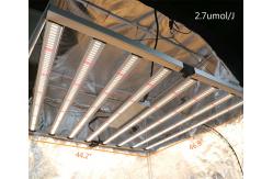 China Indoor 3000k Plants Hydroponic Horticulture LED Grow Lights supplier