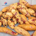 SUS304 1.5KW Potato Washing And Peeling Machine Bulb Root Veg
