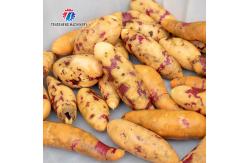 China SUS304 1.5KW Potato Washing And Peeling Machine Bulb Root Veg supplier