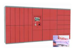 China Advanced Laundry Locker Secured Electronic Locker System 7 days Self Service Intelligent Digital supplier