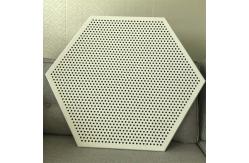 China Customized Metal False Acoustic Ceiling Tile Perforated Clip In Hexagonal supplier