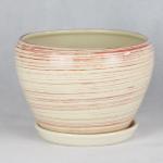 Stylish And Functional Ceramic Pots Perfect For Any Plant And Any Space