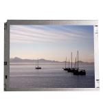 Touchscreen 10.4 inch NL8060BC26-35AD LCD Display Screen for sale