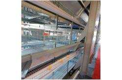 China OEM Standard Poultry House Steel Structure With Sliding Windows supplier