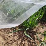 Weather Resistant Mosquito Window Screen With Plain Weave Fabric
