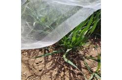 China Weather Resistant Mosquito Window Screen With Plain Weave Fabric supplier