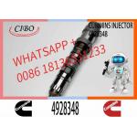 Q19 diesel engine common rail injector 4087888 4087889 4928348 4010025 4928345 4928346