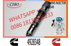 China Q19 diesel engine common rail injector 4087888 4087889 4928348 4010025 4928345 4928346 supplier