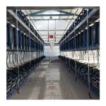 Automatic Milk Meter Herringbone Milking Parlor Hall Cow Milking Machine for sale