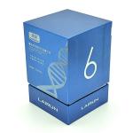 Customizable Logo Printing Essential Oil Rigid Carton with Removable Lid and Dividers for sale