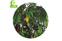 China Tropical Mango Trees For Sale Chinese Goods Wholesale Artificial Mango Tree supplier