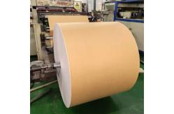 China Best Unique High Quality PE Coated Paper Roll with Excellent Oil Resistance supplier