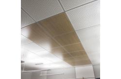 China Perforated False Ceiling Aluminium Panels supplier