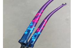 China Popular Road Bike Frame Decals , Vivid Patterns Specialized Bike Stickers supplier