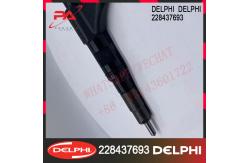 China 228437693 DELPHI Diesel Engine Fuel Injectors 228437693 supplier