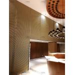 Metal Building Materials Aluminum Expanded Metal Sheet Wall Cladding Facades