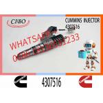 Construction Machinery Part N14 QSM ISM QSM11 ISM11 M11 Diesel Engine Parts 4307516 Diesel Fuel Injector for sale