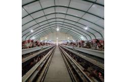 China Automatic 4 Layer Battery Poultry Chicken Cage Chicken Layer Farming Equipment supplier