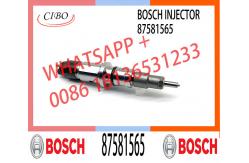 China Common Rail Diesel Fuel Injector 0445120035 0445120272 3965720 3973059 5263305 87581565 supplier