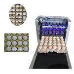 High Analytical Ink Cartridge Batch Number Printing Machine For Eggs for sale