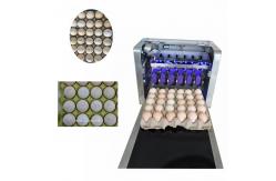 China High Analytical Ink Cartridge Batch Number Printing Machine For Eggs supplier