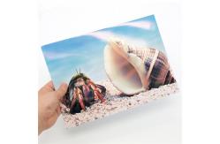 China Large Format Premium Instant-Dry Glossy Coated 180gsm Photo Paper Rolls supplier