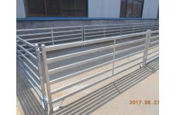 China Hot Dipped Galvanized Knotted Cattle Yard Panels For Sheep And Goat supplier