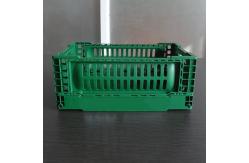 China Foldable Kitchen Plastic Storage Crate Hollow Out 120mm Height supplier