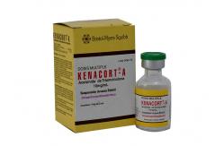 China Free Design Custom 10ml Vial Labels Various Size For Pharmaceutical supplier