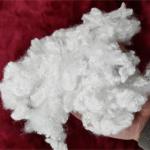 White Virgin Polyester Fiber For Demanding Applications