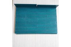 China Alkali Resistant Plastic Modular Belt with Positrack 1000 Molded supplier