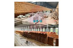 China Customized Tunnel Kiln BRICTEC Construction Process Display I Tunnel Kiln Brick Firing Process supplier