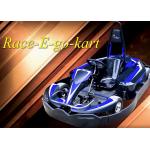 Entertainment Park Mini Racing Go Karts 4KW Eco Friendly for sale