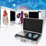 Metatron 4025 Hunter NLS Diagnostic Bioresonance Scanner With Spanish/German/English/Polish Software for sale