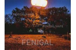 China 2.5m 8kW Tungsten Halogen Film Lighting Balloons supplier