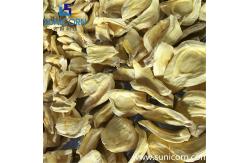 China Large Capacity Industrial Lyophilizer 6600*2100*2100mm Stable Performance supplier