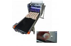 China Remote Control Eggs Code Printing Machine With Full Plate Spray Printing Way supplier