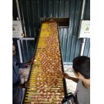 5 Layer Q235 Battery Egg Layer Cages Poultry Field Chicken Cage for sale