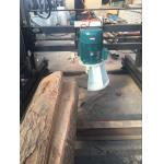 DS2000 Automatic Double Blades Circular Sawing Swing Blade Saw Mill Machine