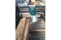 China DS2000 Automatic Double Blades Circular Sawing Swing Blade Saw Mill Machine supplier