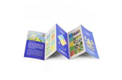 China Saddle Stitching Custom Brochure Catalogue Pamphlet Booklet Printing Services supplier