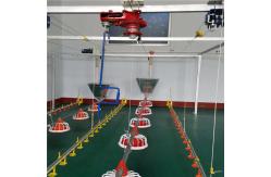China Automatic Poultry Feeder For Broiler Automatic Pan Feeding System supplier