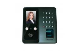 China Fingerprint RFID TCP IP Wifi TFT Face Recognition Terminal supplier