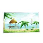 RGB 1920*1080 M240HW01 V9 91PPI TFT LCD Screen for sale