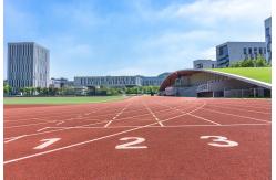 China IAAF High School Water Based Jogging Track Material Non-Pollution supplier