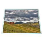 15 inch 1024*768 Industrial TFT LCD Screen LQ150X1LG91 for sale