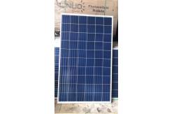 China 260W Mono Solar Panels multi cells For Home Anodized Aluminium Alloy Frame supplier