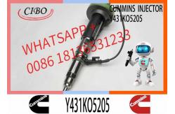 China Fuel Injector Assembly 2867147 2882077 4955524 Y431KO5393 2882078For Qsk19 Engine supplier