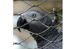 China Customized Handwoven Stainless Steel Wire Rope Net Anti Falling Mesh supplier